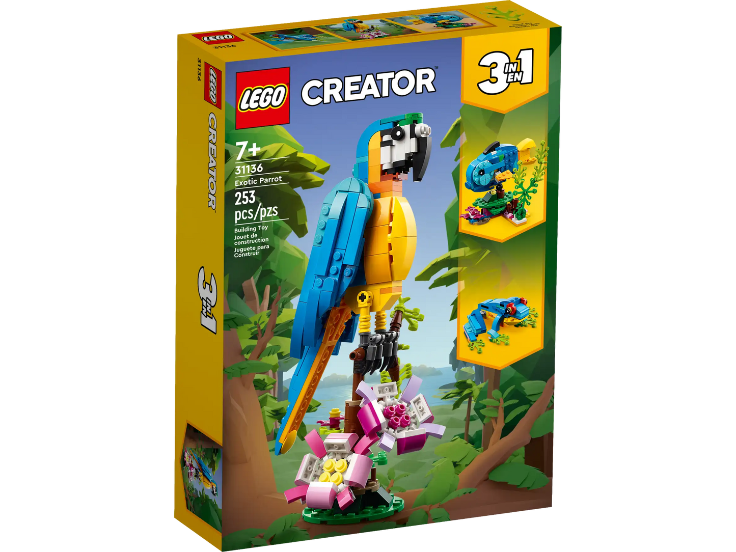 Exotic Parrot