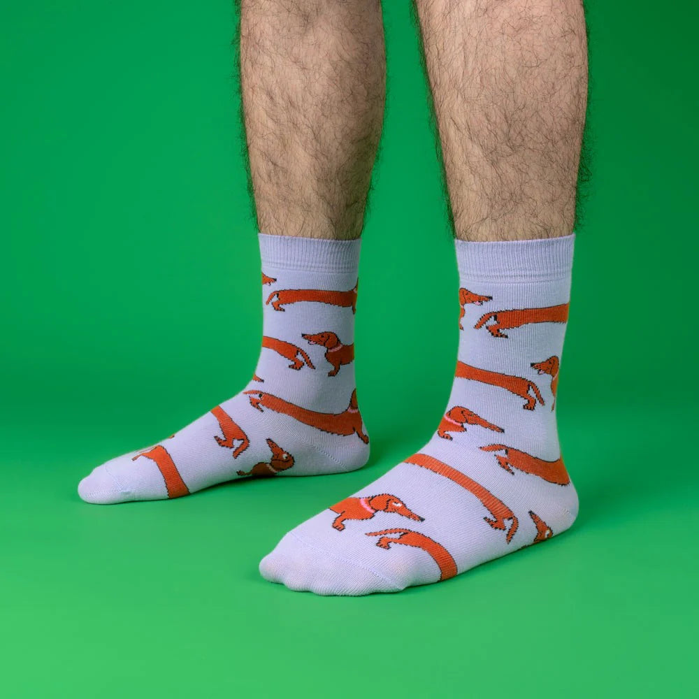 Dachshund socks