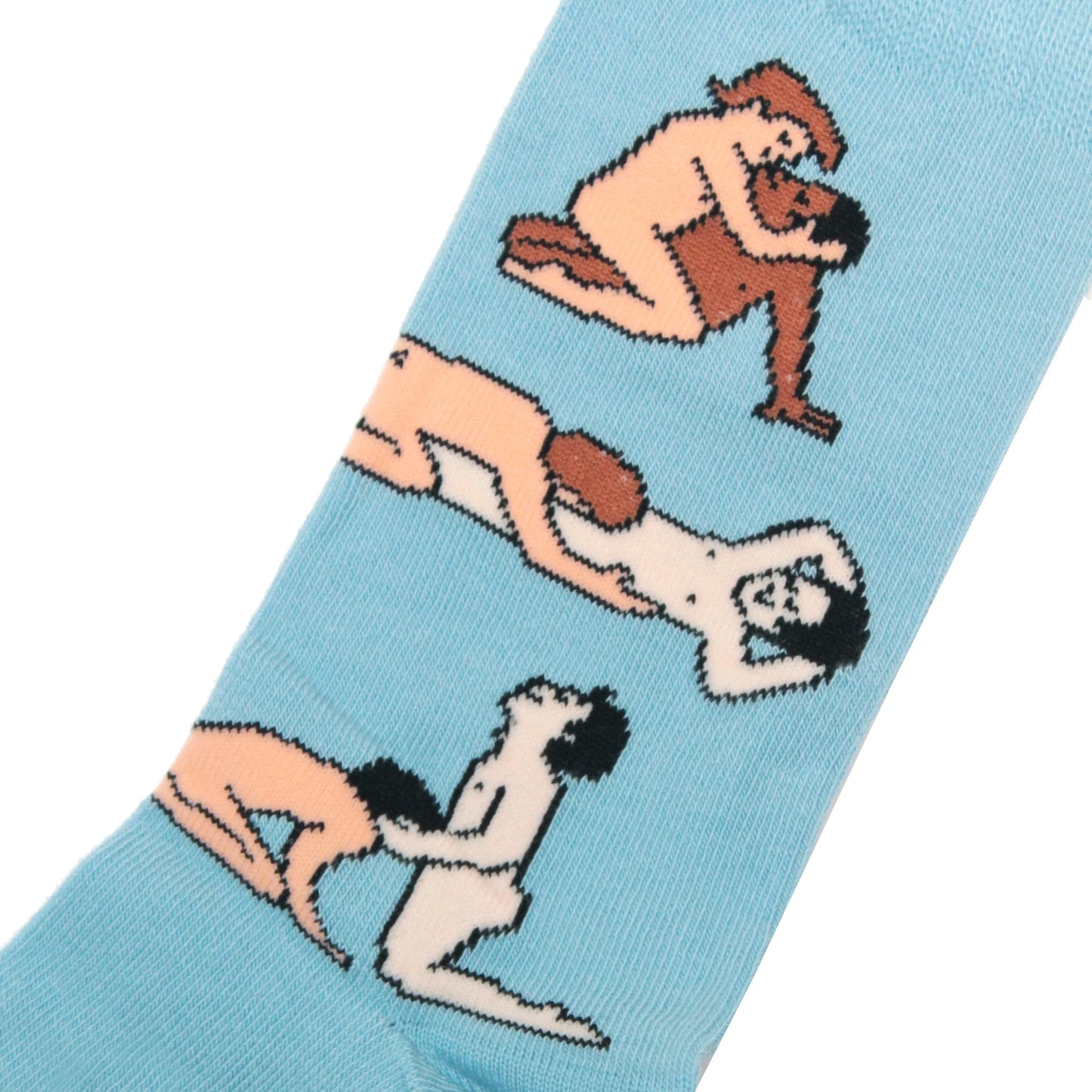 Kamasutra socks-Gay boy lovers 👯♂️