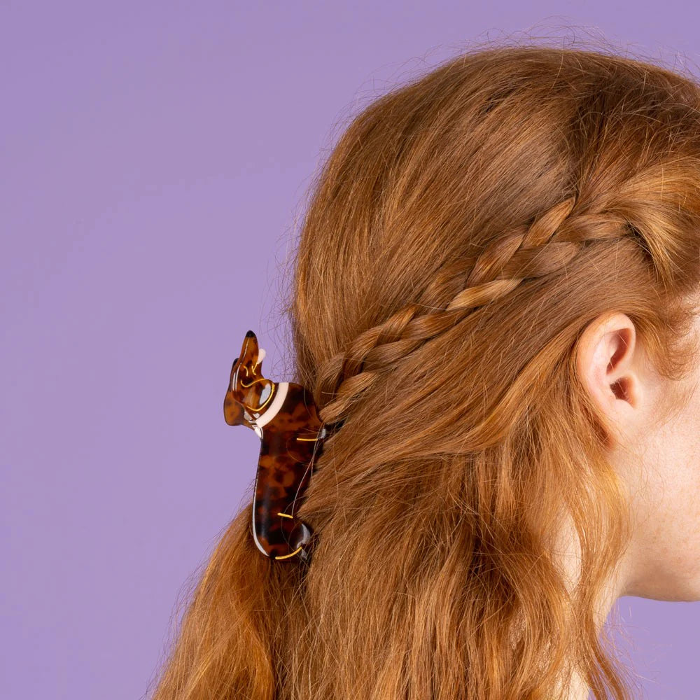 Dachshund hair claw