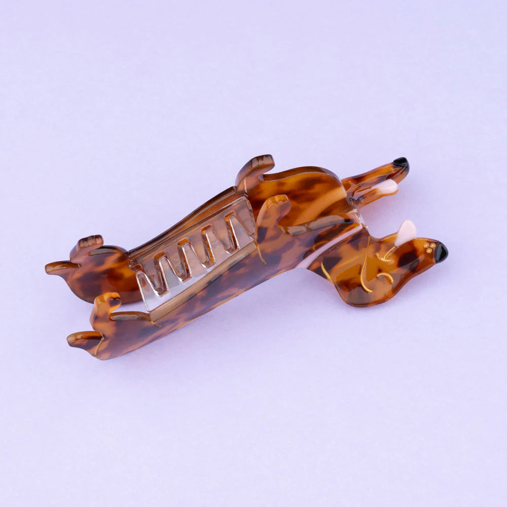 Dachshund hair claw