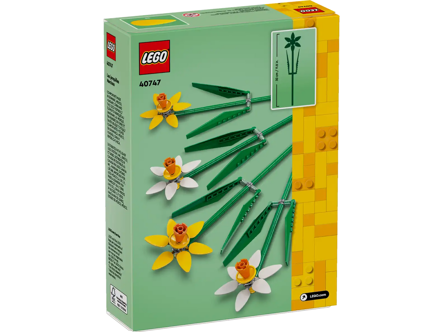 Daffodils