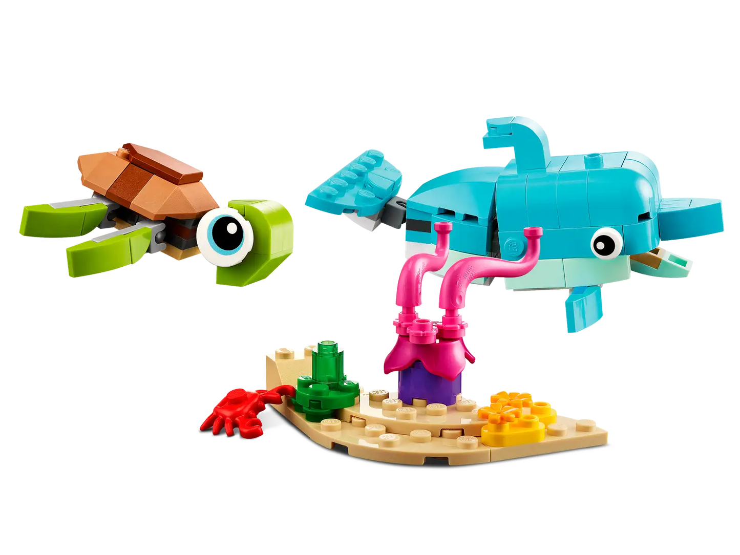 Dolphin and Turtle
