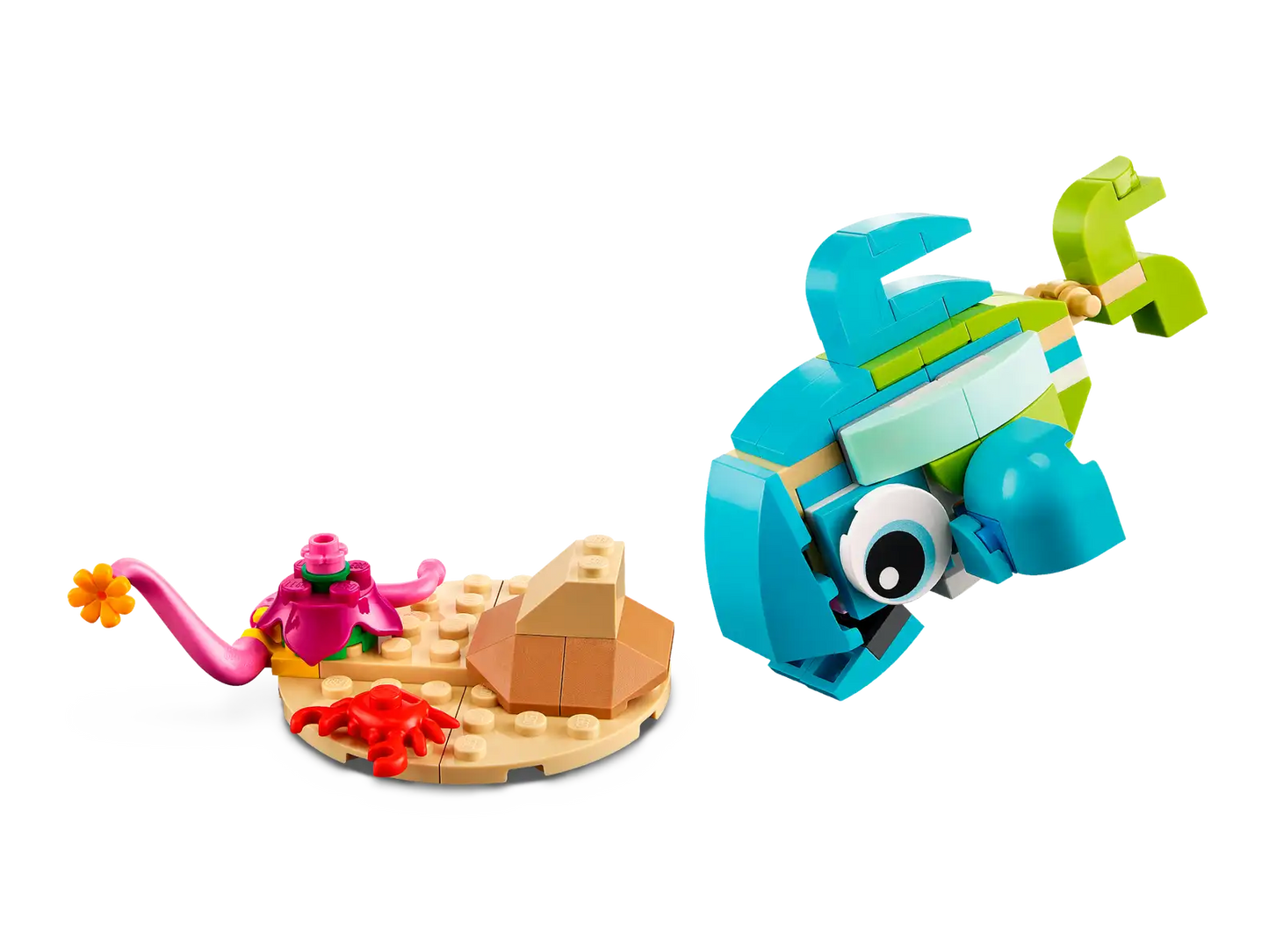 Dolphin and Turtle