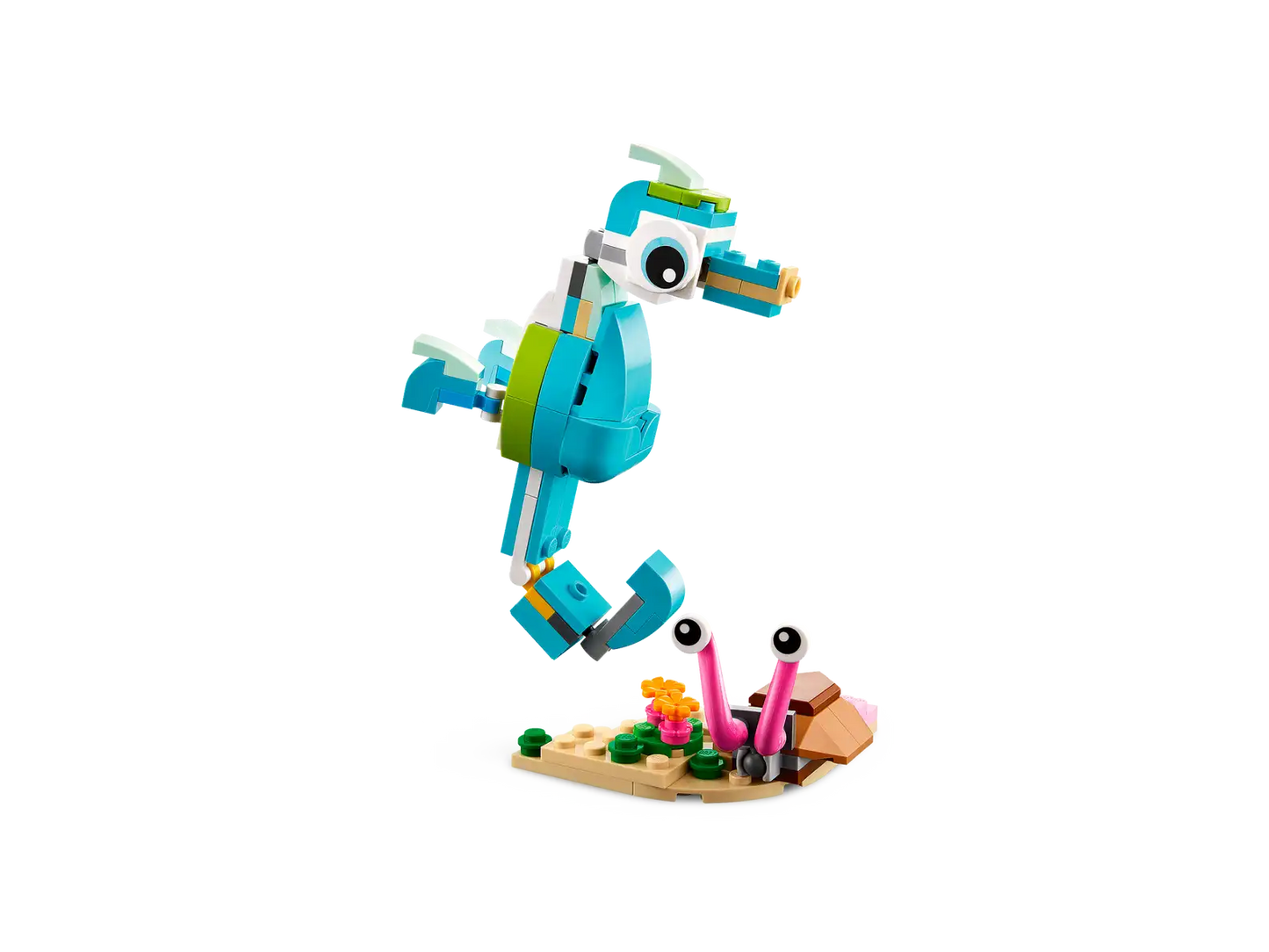 Dolphin and Turtle