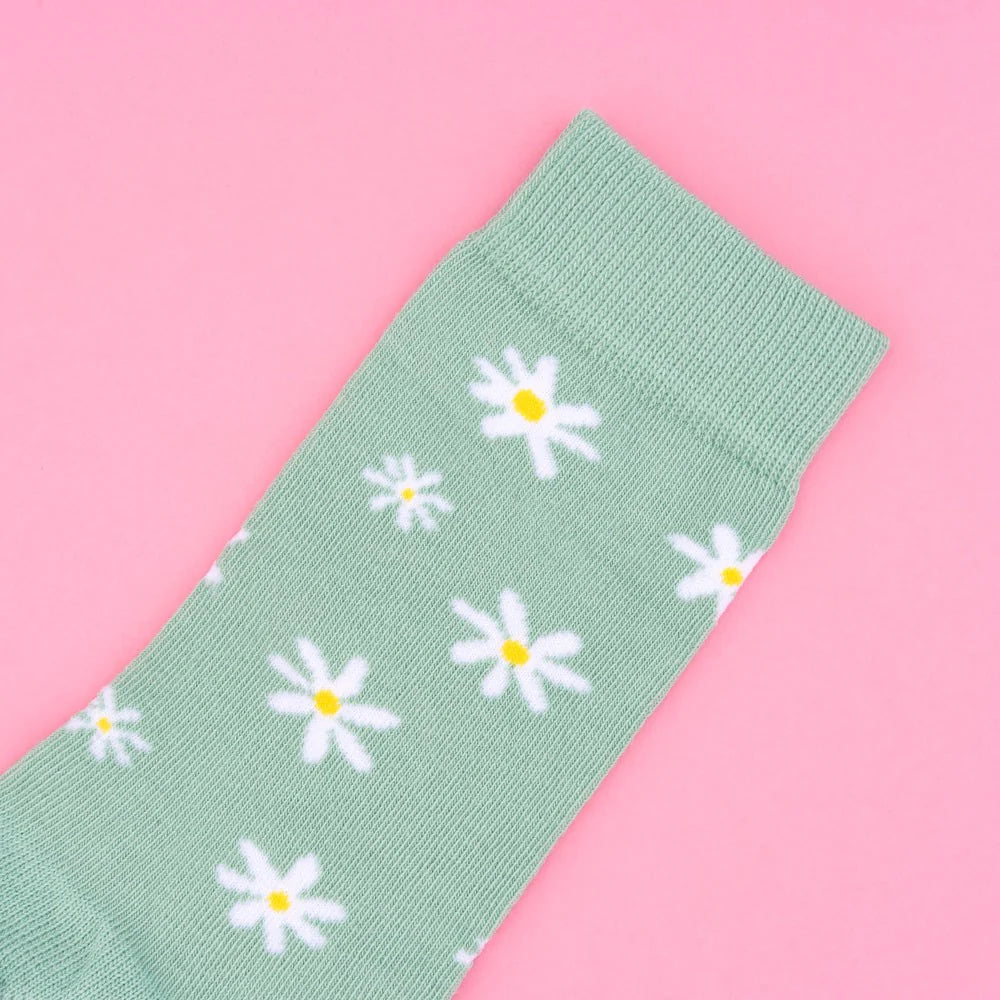 Daisy socks 🌼