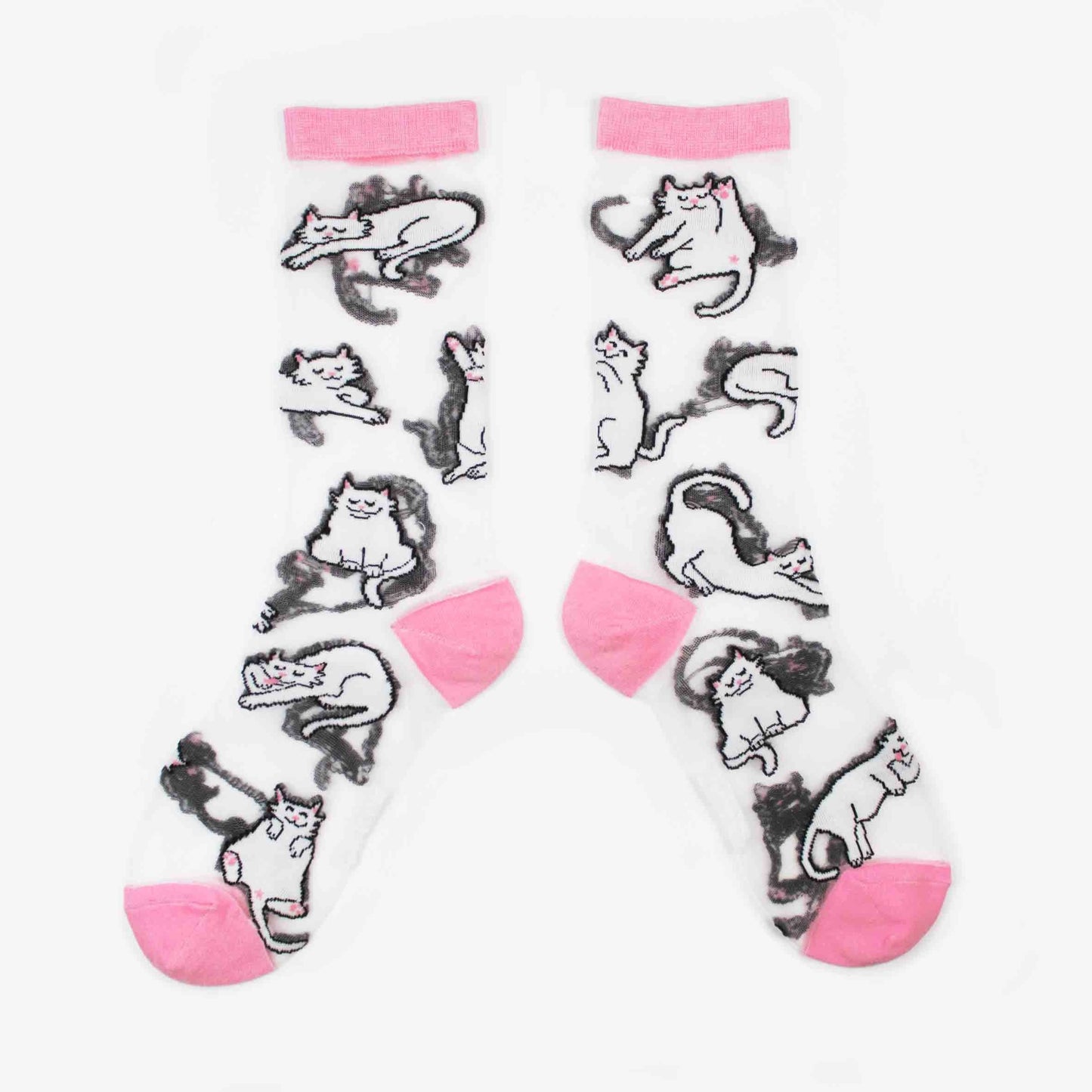 White cat sheer socks