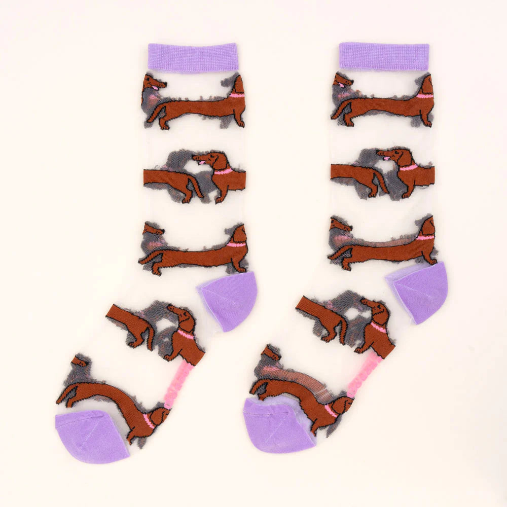 Dachshund sheer socks