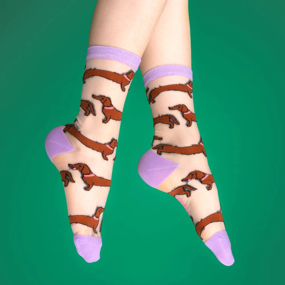 Dachshund sheer socks