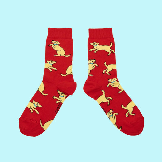 Golden Retriever socks 🦮