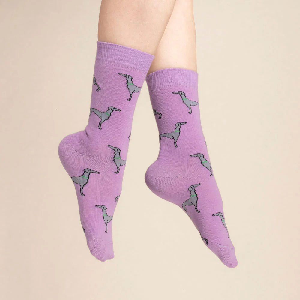 Whippet socks 🐩