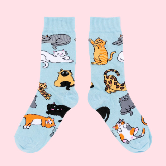 Meow socks 🐱