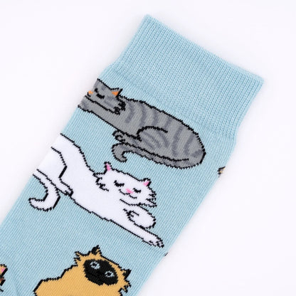 Meow socks 🐱