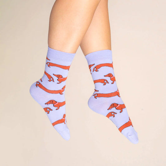 Dachshund socks