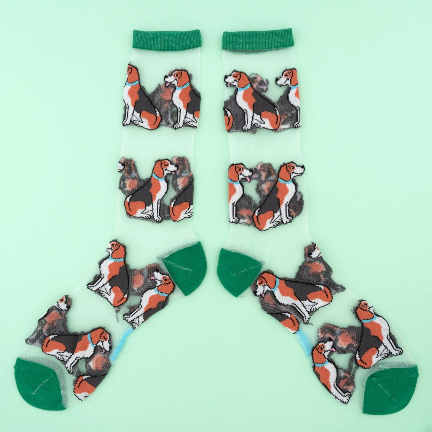 Beagle sheer socks