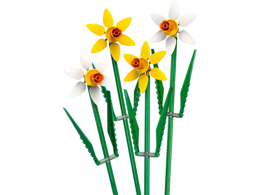 Daffodils