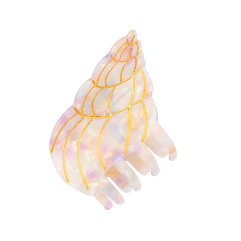 Shell hair claw🐚